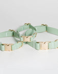 Pistachio Green Waterproof Dog Collar - SUNNY TAILS