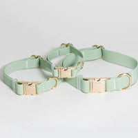 Pistachio Green Waterproof Dog Collar | Sage Green Dog Collar | Available in 3 Sizes | Durable Dog Collars | Shop Sunny Tails