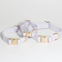 Lavender Haze Waterproof Dog Collar | Available in 3 Sizes | Durable Dog Collars | Shop Sunny Tails