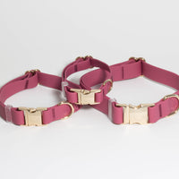 Mulberry Burgundy Waterproof Dog Collar | Maroon Dog Collar | Available in 3 Sizes | Durable Dog Collars | Shop Sunny Tails