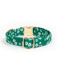 Summer Meadow Green Floral Dog Collar | Flower Dog Collar | Available in 3 Sizes | Durable Dog Collars | Shop Sunny Tails
