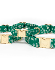 Summer Meadow Green Floral Dog Collar | Flower Dog Collar | Available in 3 Sizes | Durable Dog Collars | Shop Sunny Tails