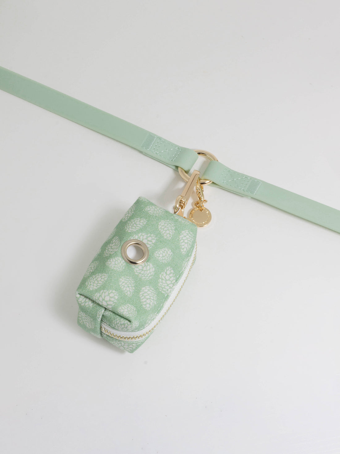 Pistachio Green Waterproof Cloud 30 Ft Dog Leash | Lightweight PVC Long Leash | Odor Proof, Stink Proof, and Durable Dog Lead | Available in 3 Lengths