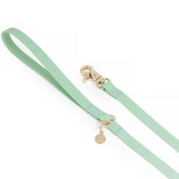 Pistachio Green Waterproof Cloud Dog Leash - SUNNY TAILS
