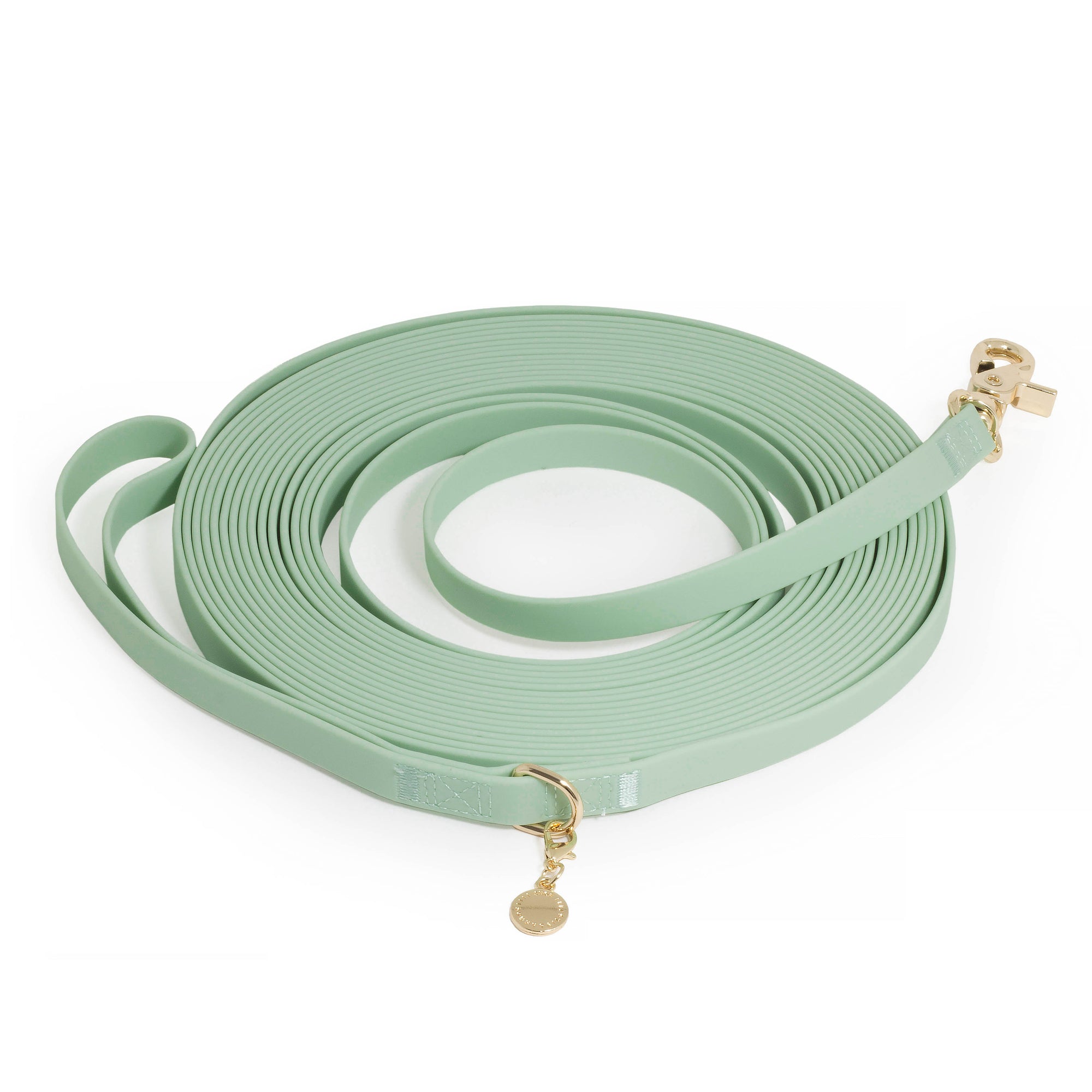 Pistachio Green Waterproof Cloud 30 Ft Dog Leash | Lightweight PVC Long Leash | Odor Proof, Stink Proof, and Durable Dog Lead | Available in 3 Lengths