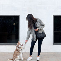 Ember Black Convertible Hands Free Cloud Dog Leash | Multifunctional, Waterproof, and Lightweight Dog Leash | Shop Sunny Tails