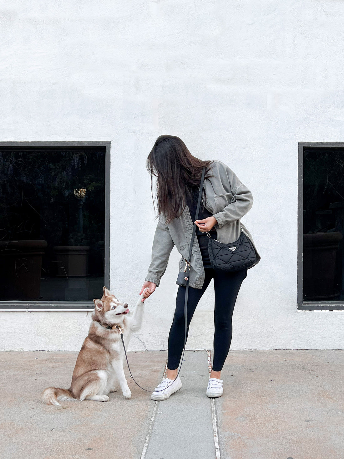 Ember Black Waterproof Dog Collar | Waterproof Quick Release Collar | Available in 3 Sizes | Durable Dog Collars | Shop Sunny Tails