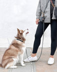5 - Piece Hands Free Set – Leash, Harness, Collar, Treat Pouch & Waste Bag Holder - SUNNY TAILS