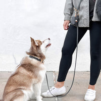 Ember Black Convertible Hands Free Cloud Dog Leash | Multifunctional, Waterproof, and Lightweight Dog Leash | Shop Sunny Tails