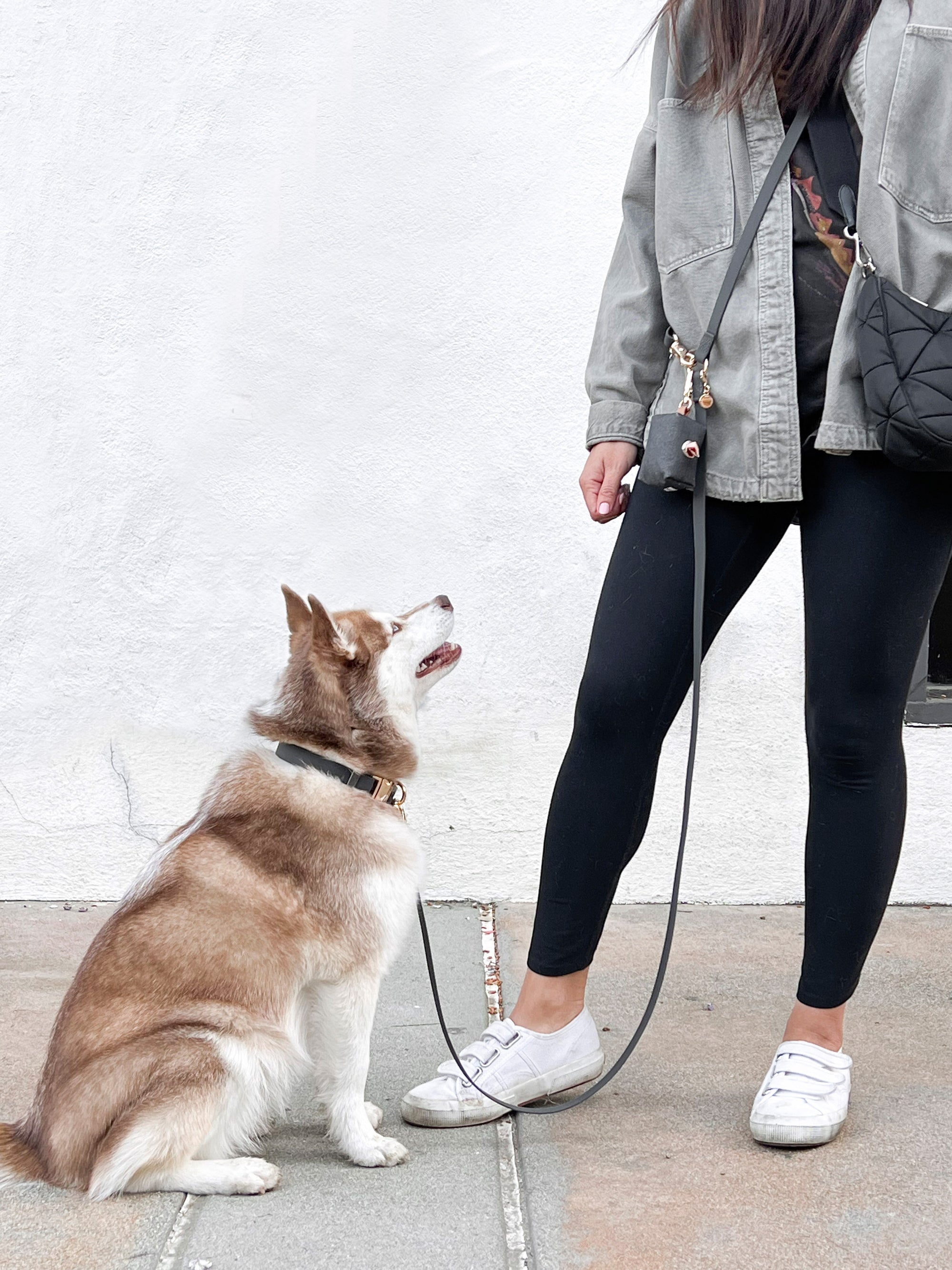 Ember Black Waste Bag Holder | Dog Poop Bag Holder | Dog Walk Bag | Shop Sunny Tails