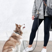 Ember Black Waste Bag Holder | Dog Poop Bag Holder | Dog Walk Bag | Shop Sunny Tails