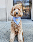 Periwinkle Blue Gingham Teddy Bear Dog Bandana