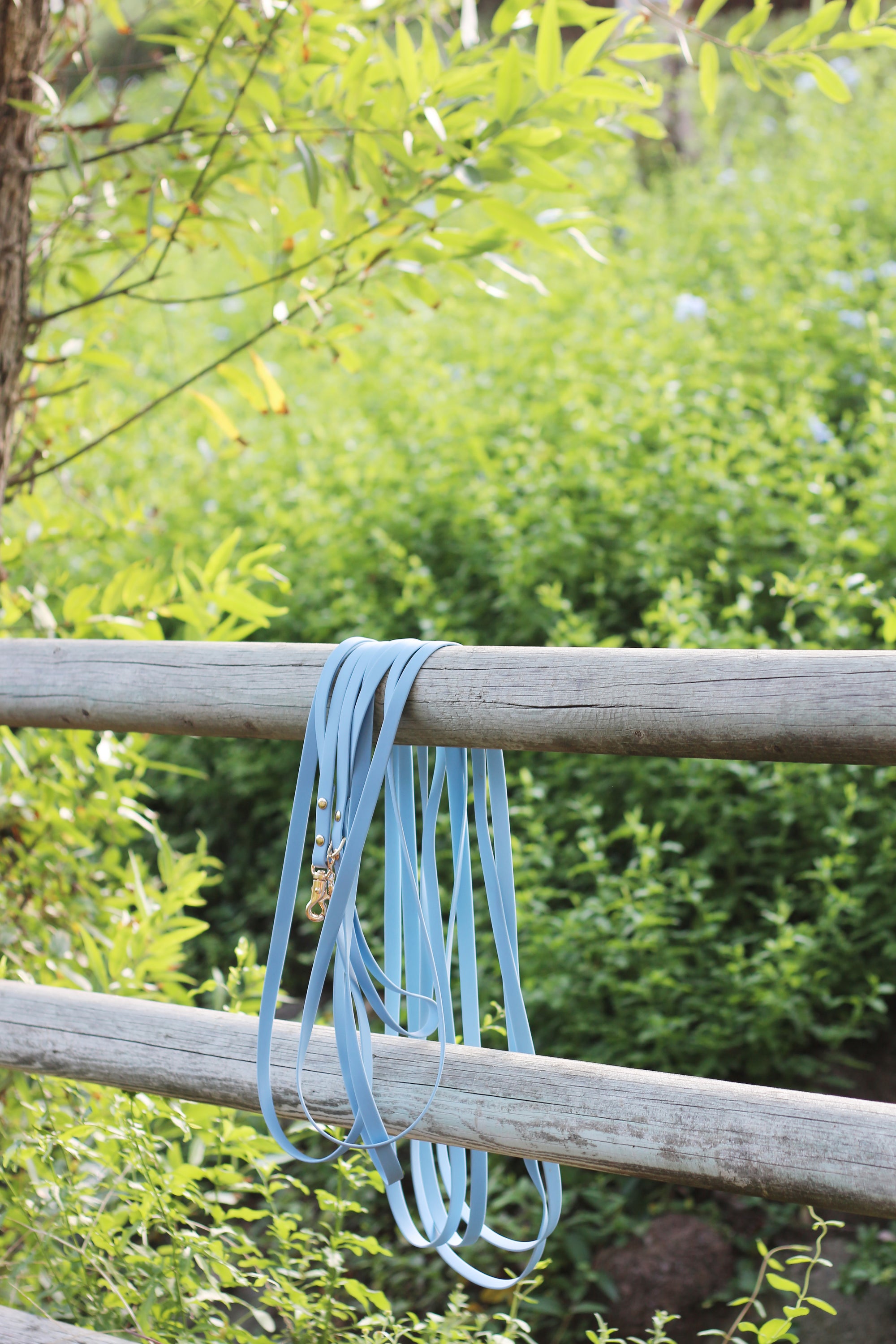 Malibu Blue Waterproof Cloud 30 Ft Dog Leash