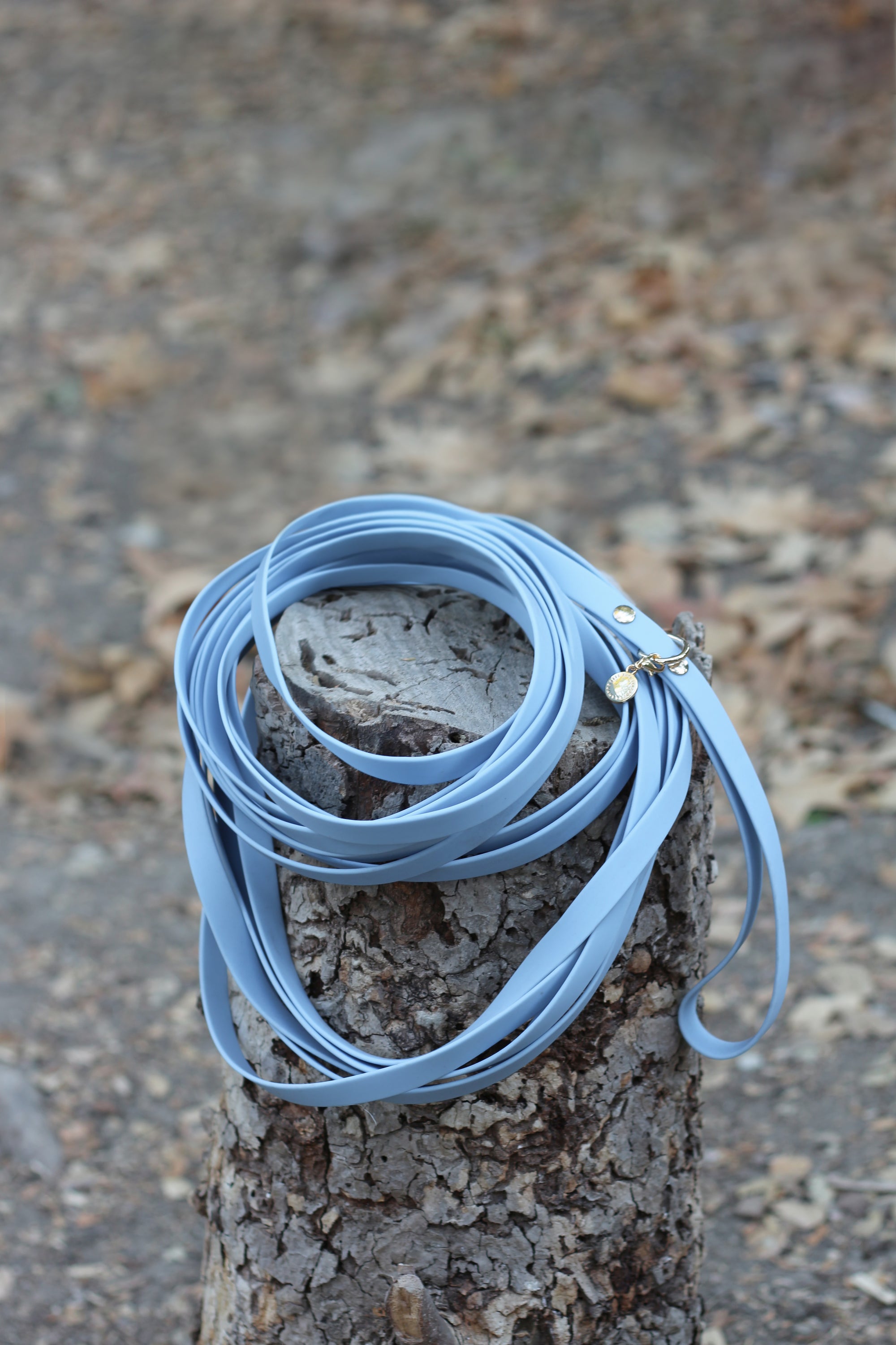 Malibu Blue Waterproof Cloud 30 ft Long Line | Lightweight PVC Long Leash | Odor Proof, Stink Proof, and Durable Dog Lead | Available in 3 Lengths