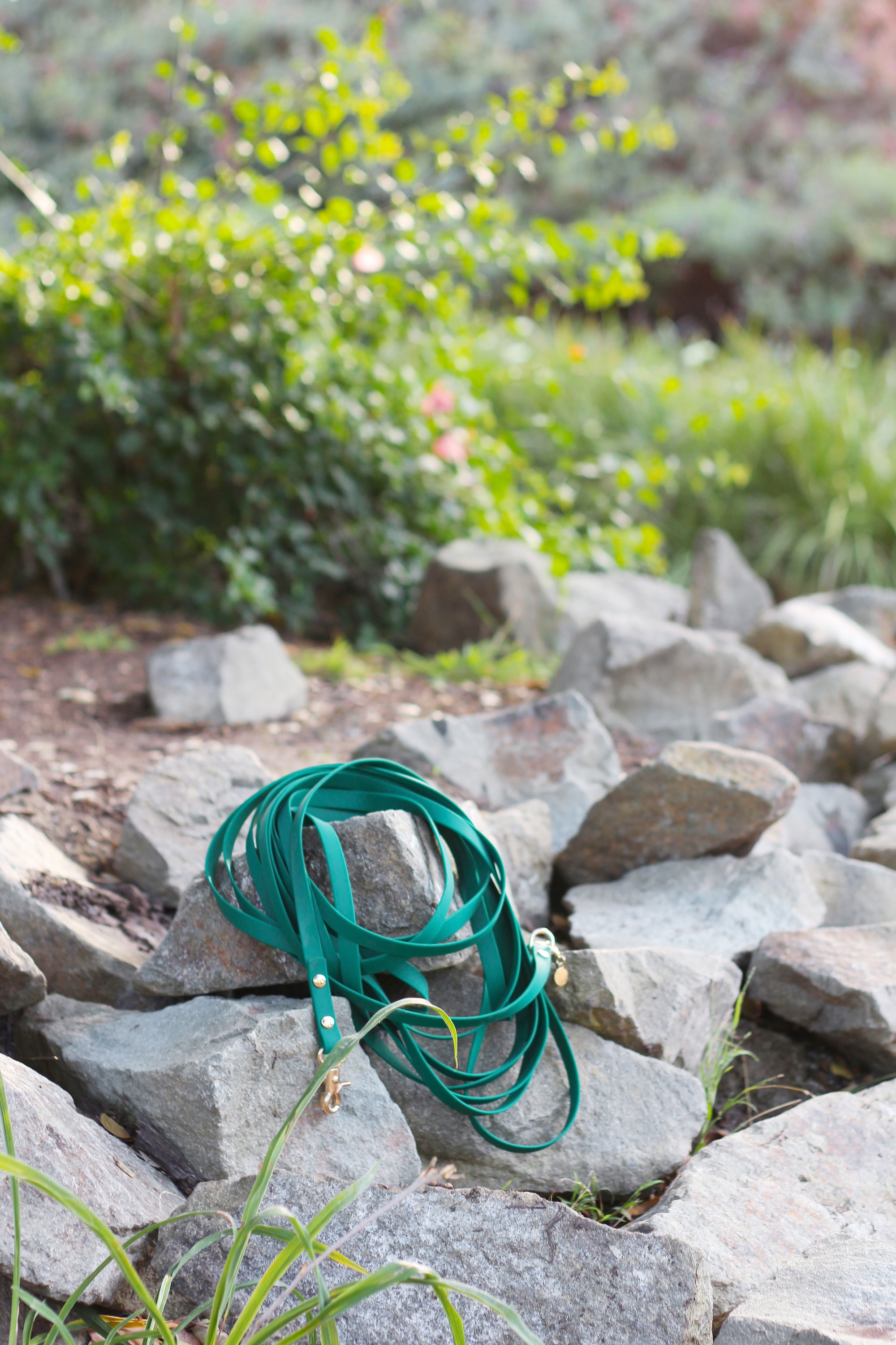 Meadow Green Waterproof Cloud 30 Ft Dog Leash | Lightweight PVC Long Leash | Odor Proof, Stink Proof, and Durable Dog Lead | Available in 3 Lengths