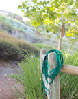 Meadow Green Waterproof Cloud 30 Ft Dog Leash - SUNNY TAILS
