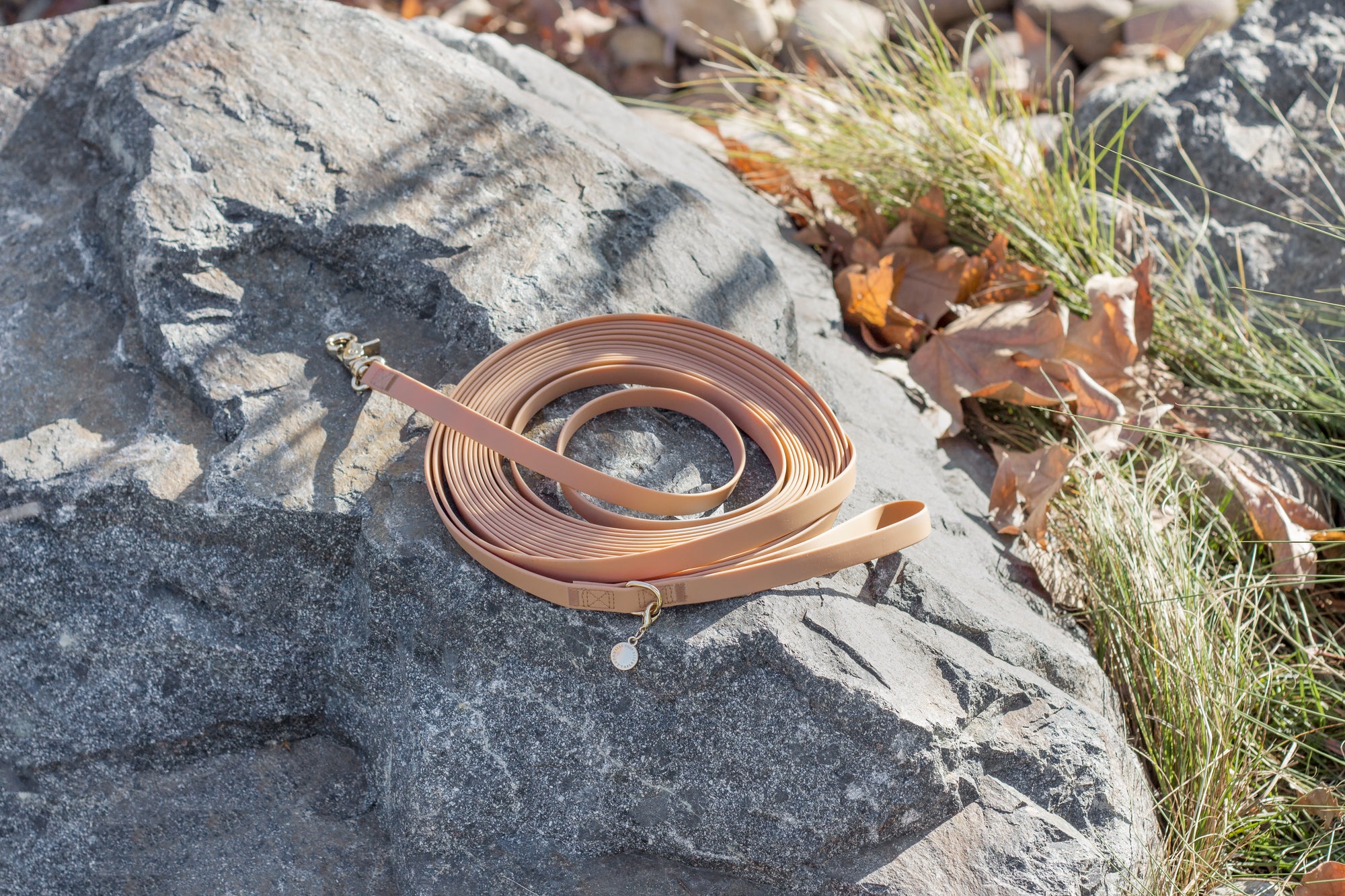 Chai Brown Waterproof Cloud 30 Ft Dog Leash | Lightweight PVC Long Leash | Odor Proof, Stink Proof, and Durable Dog Lead | Available in 3 Lengths