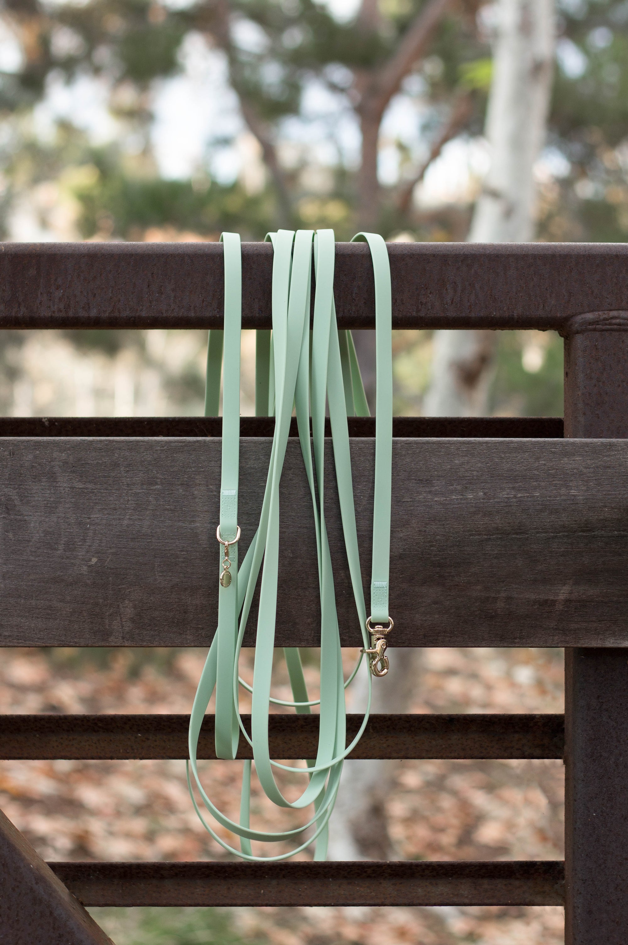 Pistachio Green Waterproof Cloud 30 Ft Dog Leash | Lightweight PVC Long Leash | Odor Proof, Stink Proof, and Durable Dog Lead | Available in 3 Lengths