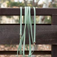 Pistachio Green Waterproof Cloud 30 Ft Dog Leash | Lightweight PVC Long Leash | Odor Proof, Stink Proof, and Durable Dog Lead | Available in 3 Lengths