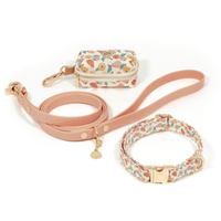 Peaches & Pears Dog Collar | Fruit Dog Collar | Available in 3 Sizes | Durable Dog Collars