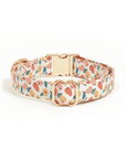 Peaches & Pears Dog Collar - SUNNY TAILS