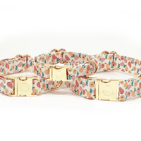 Peaches & Pears Dog Collar | Fruit Dog Collar | Available in 3 Sizes | Durable Dog Collars