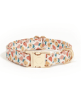 Peaches & Pears Dog Collar - SUNNY TAILS