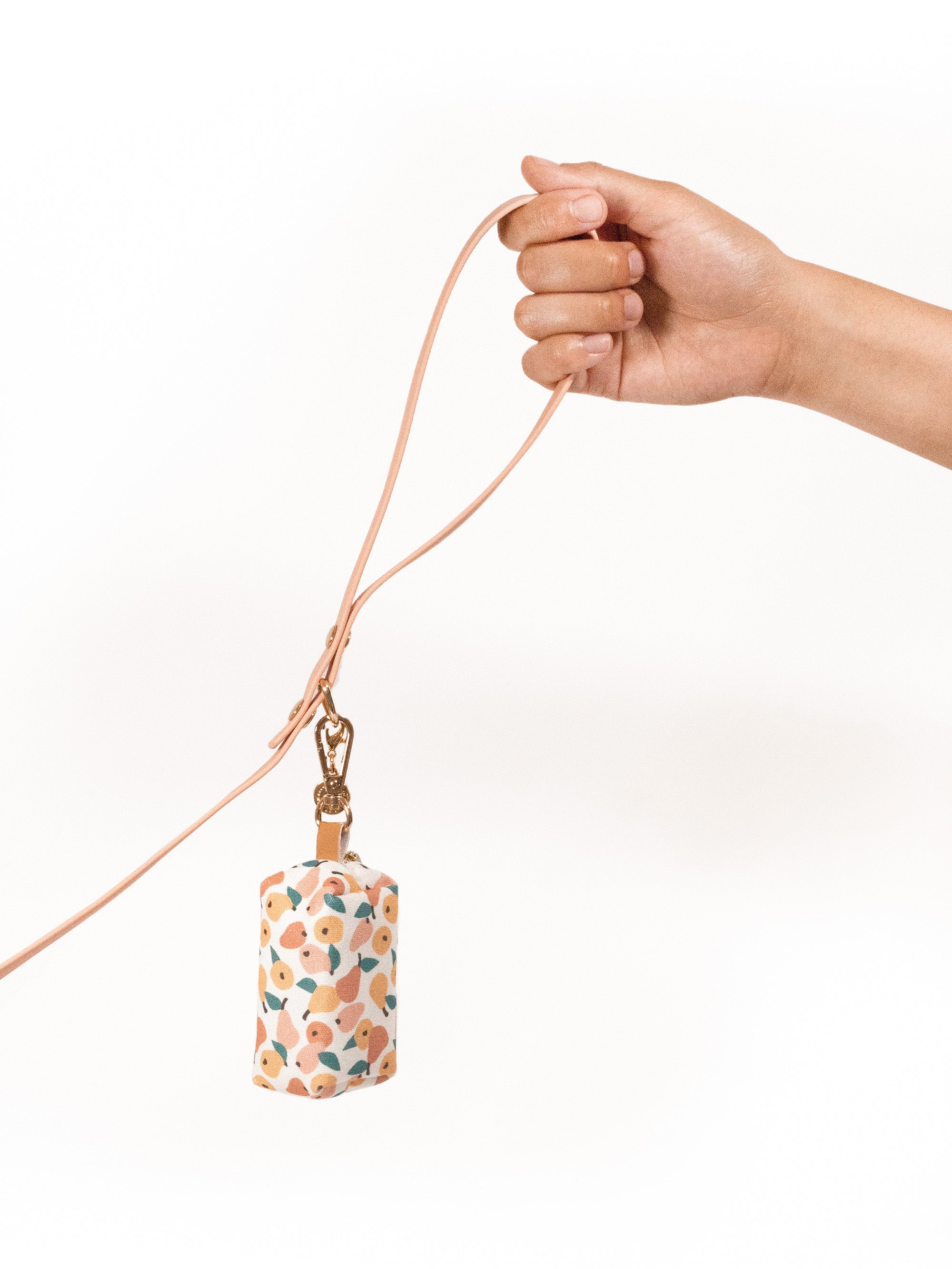 Peach Waterproof Cloud Dog Leash | Lightweight PVC Leash | Odor Proof, Stink Proof, and Durable | Available in 3 Lengths