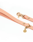 Peach Waterproof Cloud Dog Leash | Lightweight PVC Leash | Odor Proof, Stink Proof, and Durable | Available in 3 Lengths