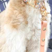Peaches & Pears Dog Collar | Fruit Dog Collar | Available in 3 Sizes | Durable Dog Collars
