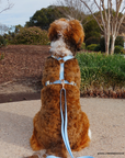 Malibu Blue Cloud Lite Dog Harness