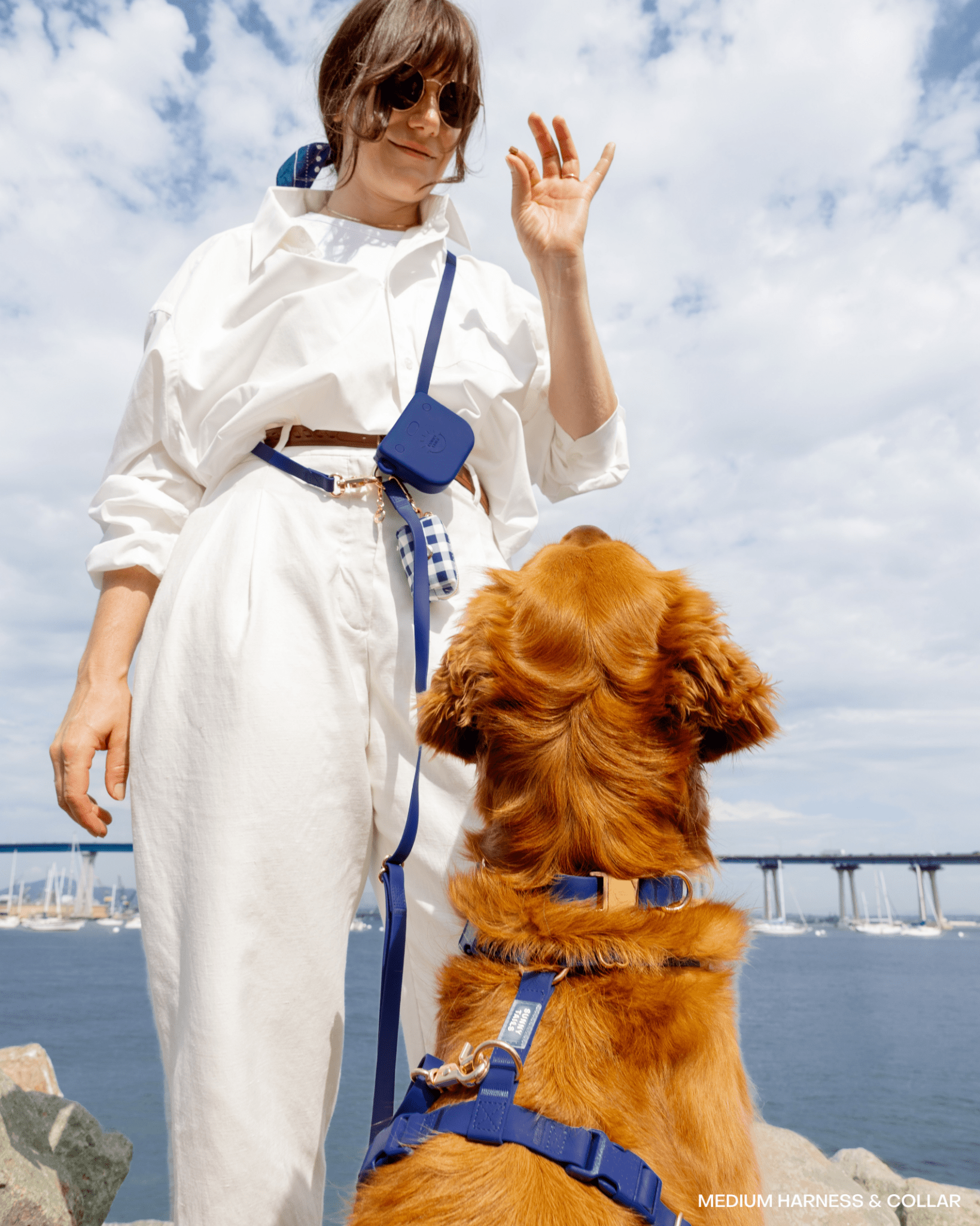 Treat Pouch & 4 - in - 1 Convertible Hands Free Cloud Dog Leash - SUNNY TAILS