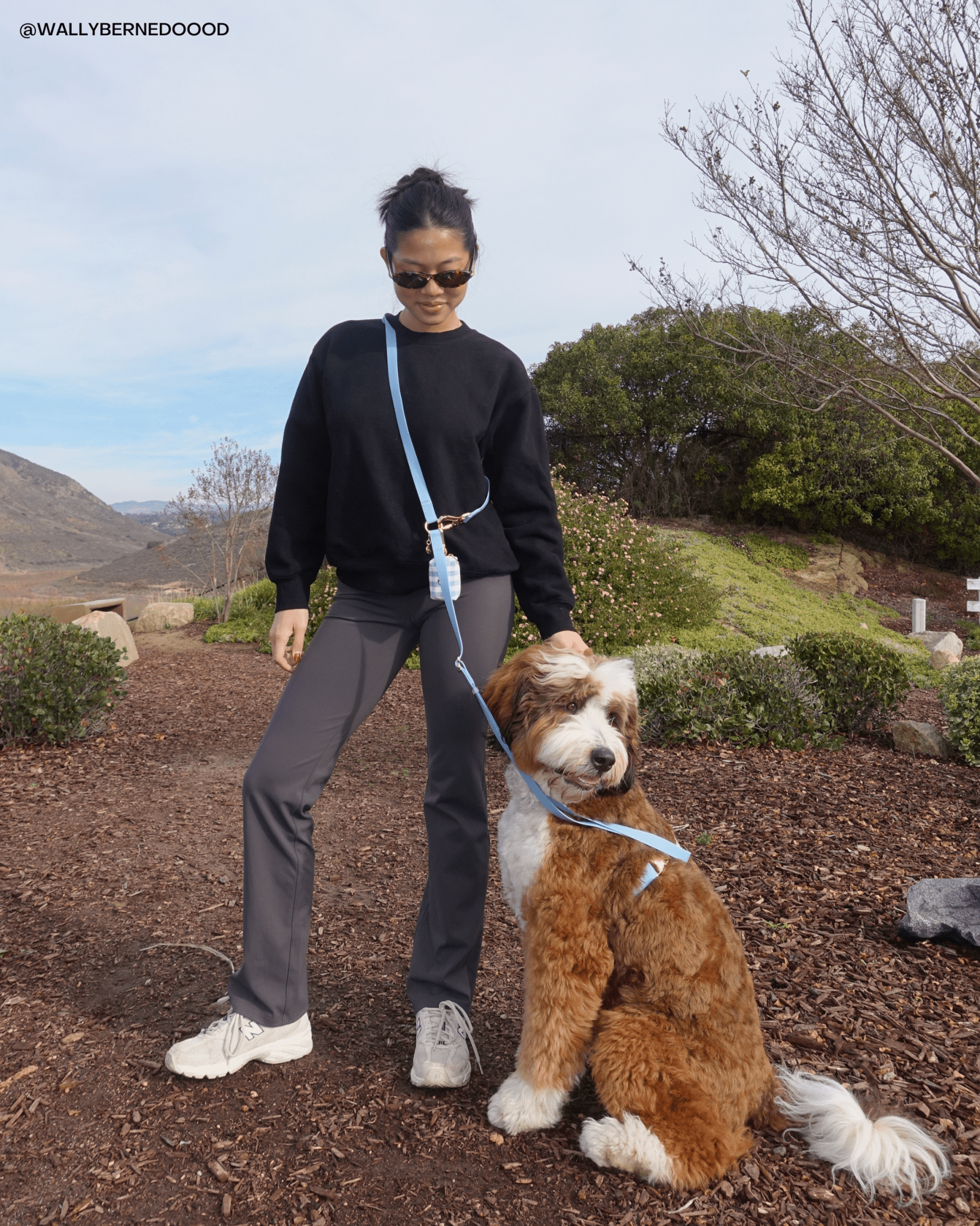 Best Sellers Harness &amp; Treat Pouch Bundle Wide - SUNNY TAILS