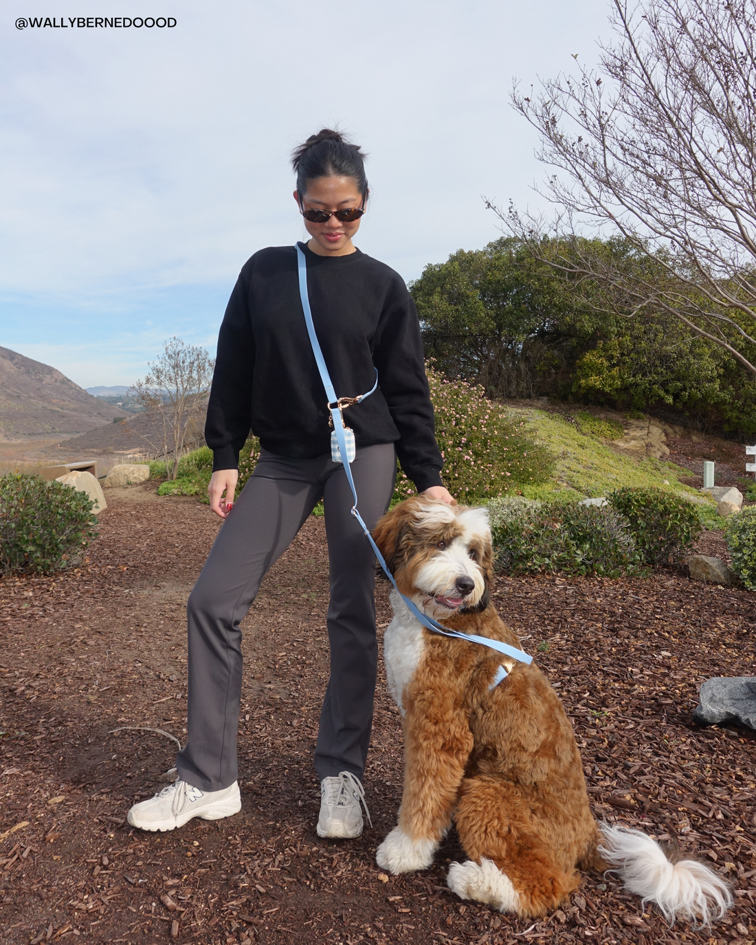 Malibu Blue Wide Hands Free Leash | Cloud Lite Harness | Snap Dog Treat Pouch |  Waste Dog Poop Bag Dispenser