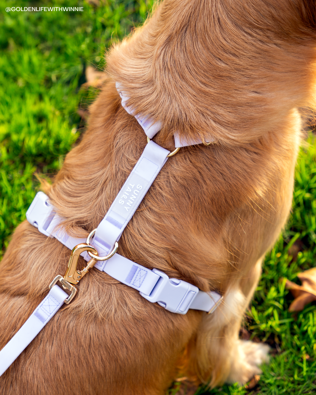 Lavender Haze Cloud Lite Dog Harness