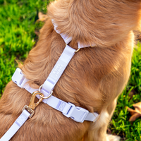 Lavender Haze Cloud Lite Dog Harness