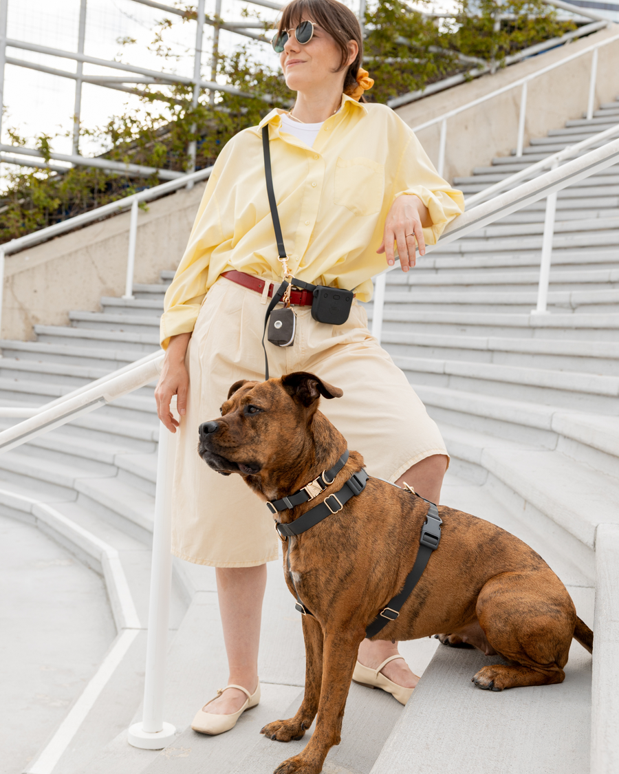 Ember Black Convertible Hands Free Cloud Dog Leash | Crossbody, Waterproof, and Lightweight Dog Leash | Dog Treat Pouch | Waterproof Dog Harness | Waterproof Dog Collar | Sunny Tails