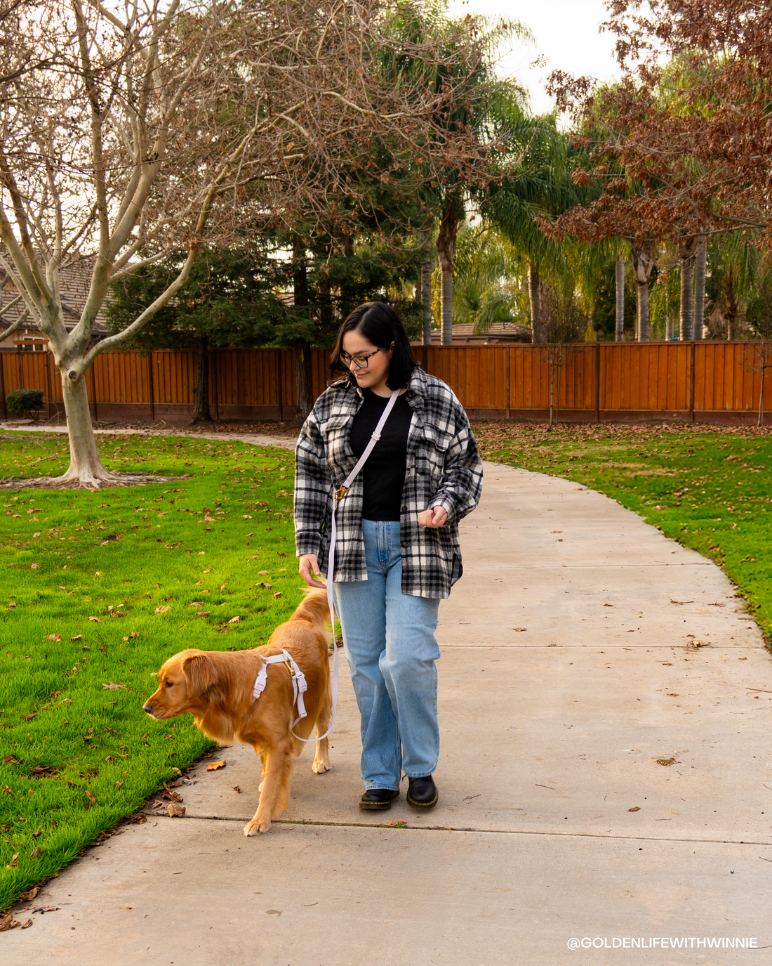 Cloud Lite Dog Harness Bundle Wide