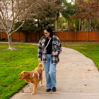 Cloud Lite Dog Harness Bundle Wide