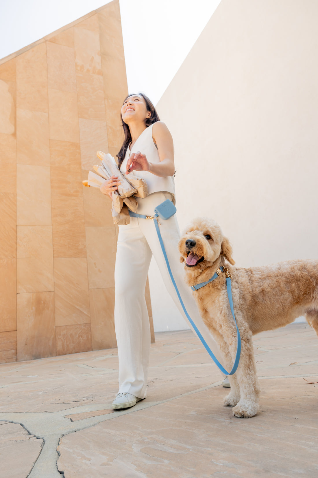 Light Blue Waterproof Dog Collar | Malibu Blue Quick Release Collar | Available in 3 Sizes | Durable Dog Collars | Shop Sunny Tails