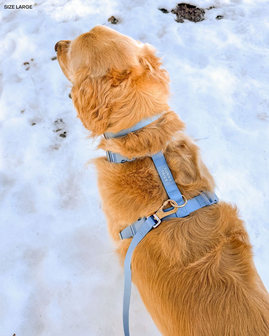 Malibu Blue Cloud Lite Dog Harness