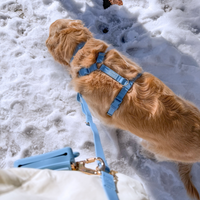 Malibu Blue Cloud Lite Dog Harness