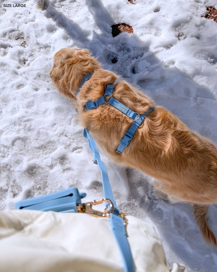 Malibu Blue Cloud Lite Dog Harness