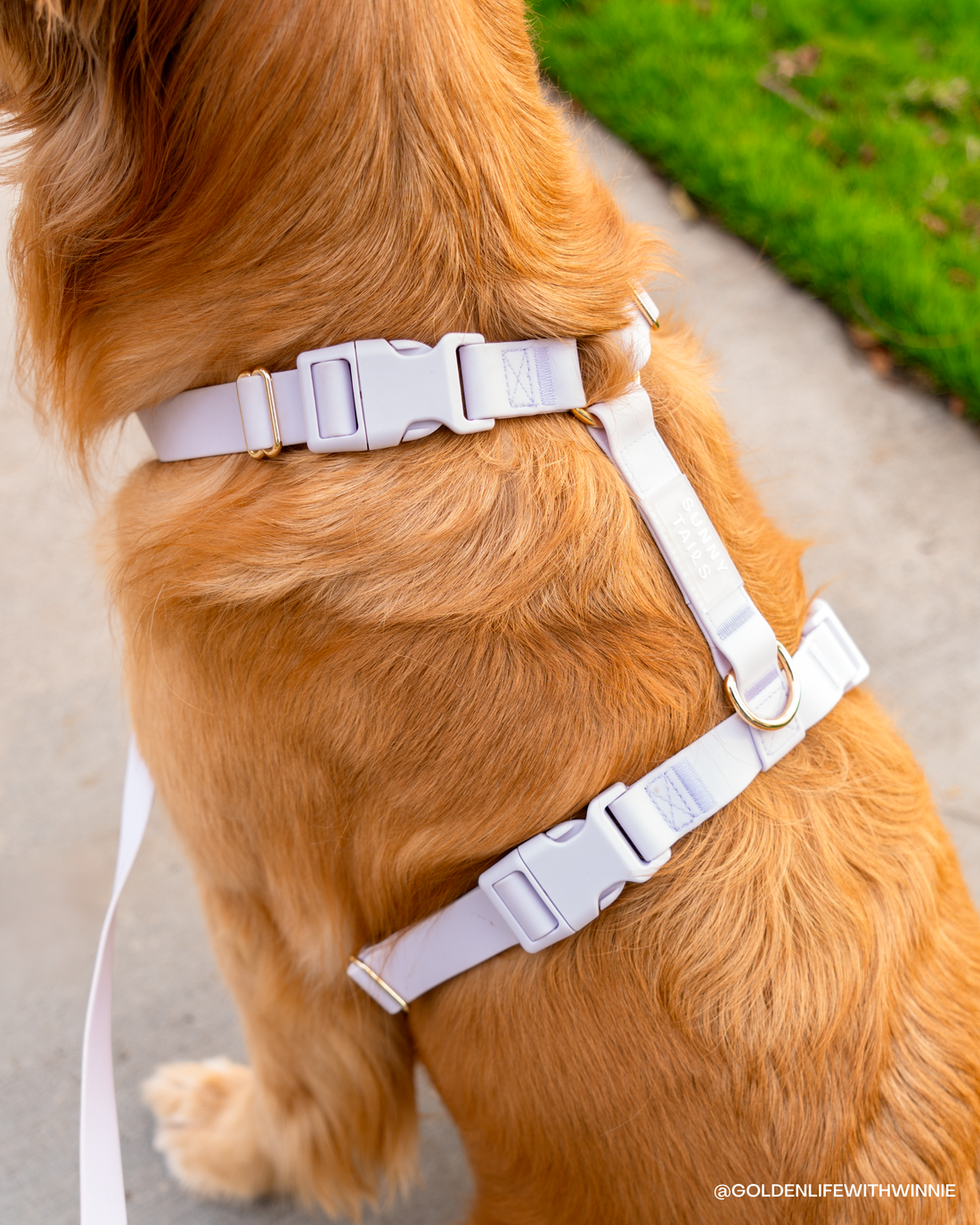 Lavender Haze Cloud Lite Dog Harness