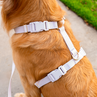 Lavender Haze Cloud Lite Dog Harness