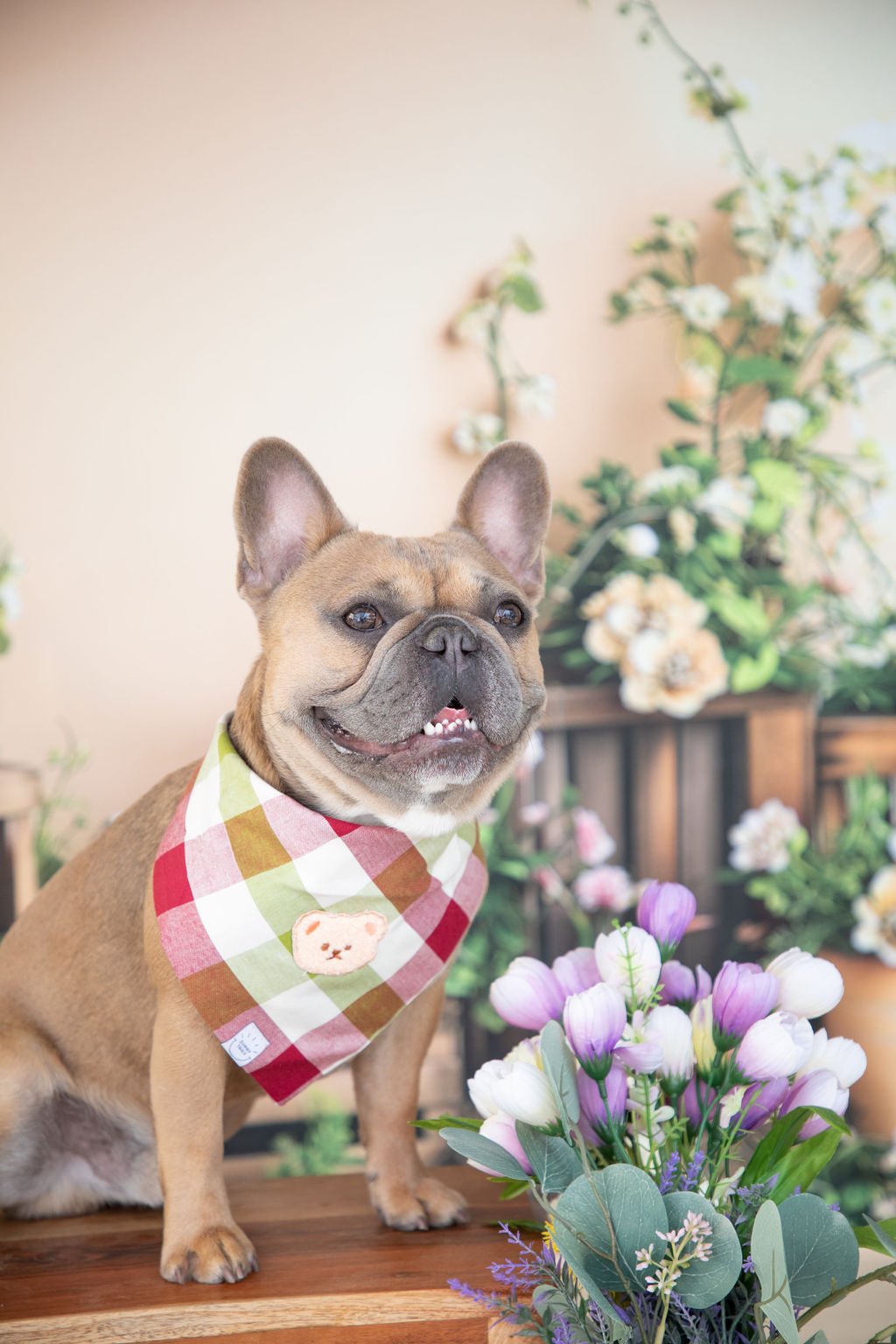 Picnic Plaid Teddy Bear Dog Bandana - SUNNY TAILS