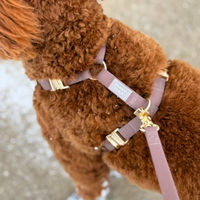 Cloud Lite Dog Harness Bundle