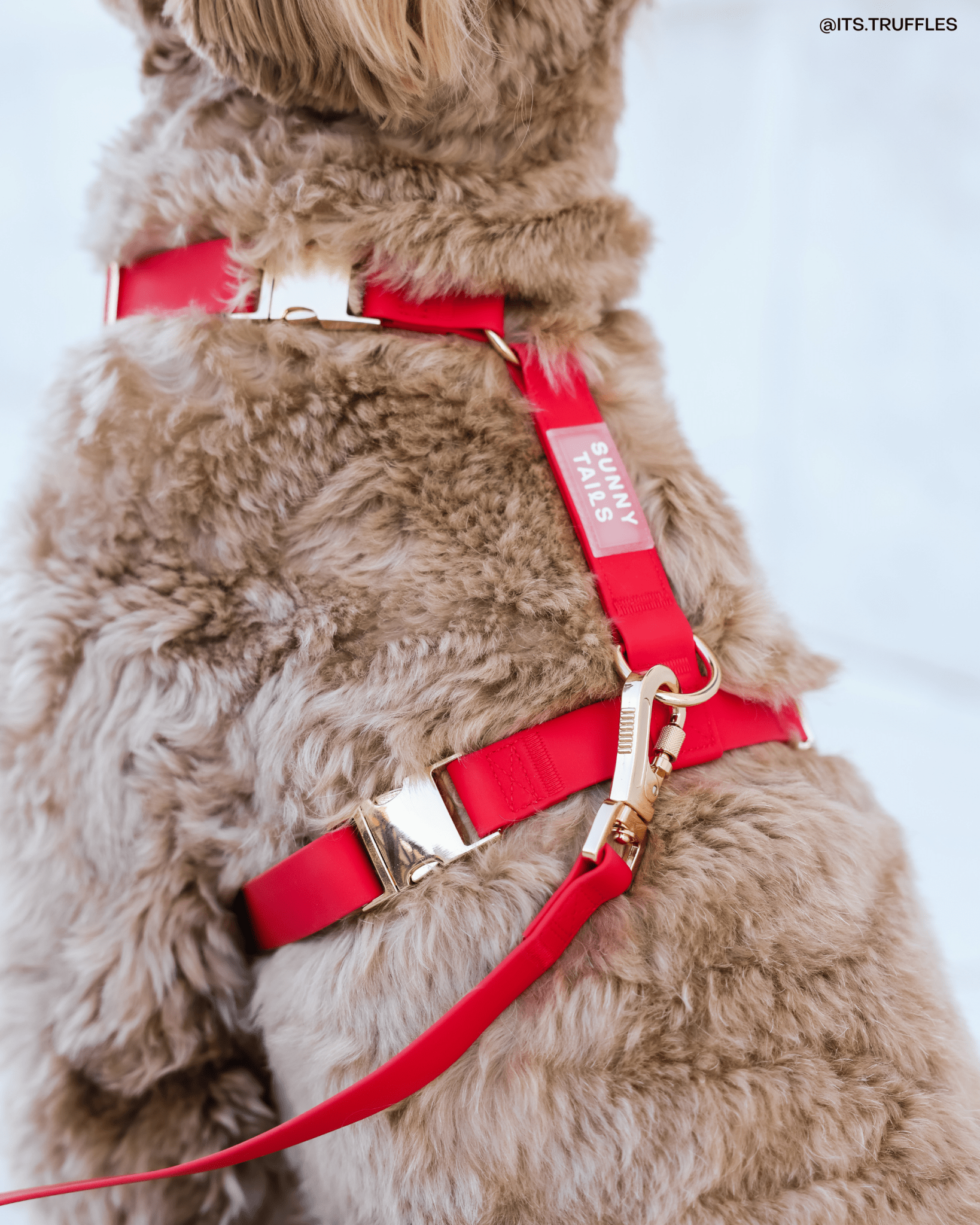 Cherry Red Cloud Lite Dog Harness | Waterproof Dog Harness | No