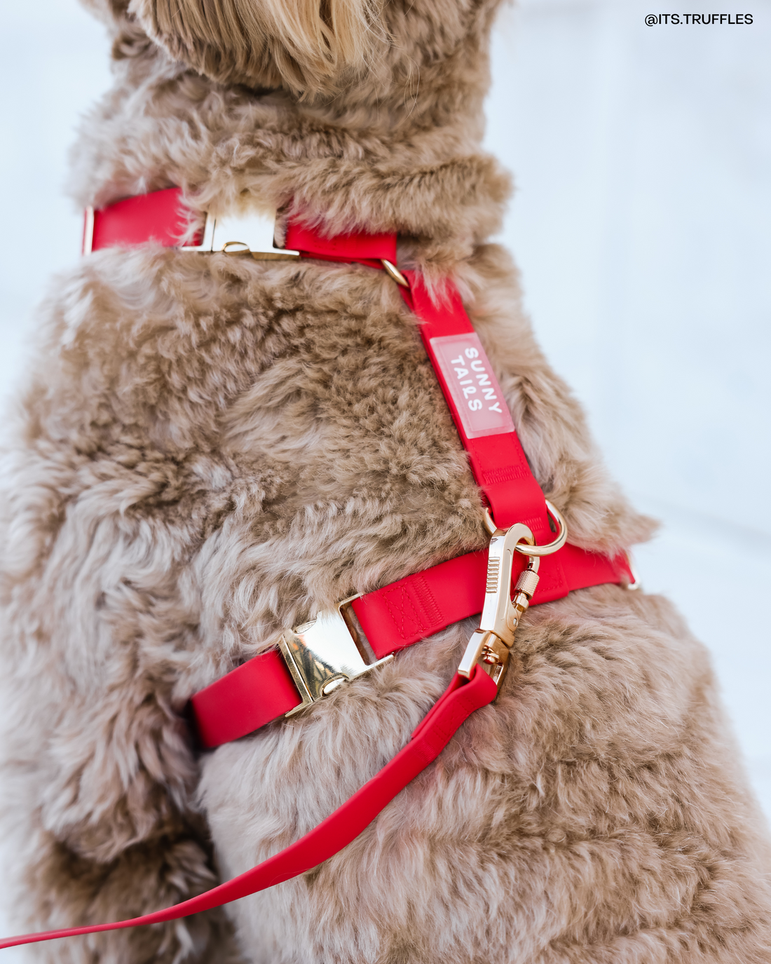 Cherry Red Cloud Lite Dog Harness