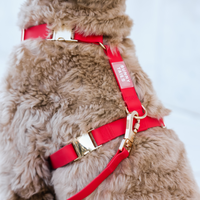 Cherry Red Cloud Lite Dog Harness